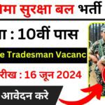 BSF Recruitment Vacancy 2024