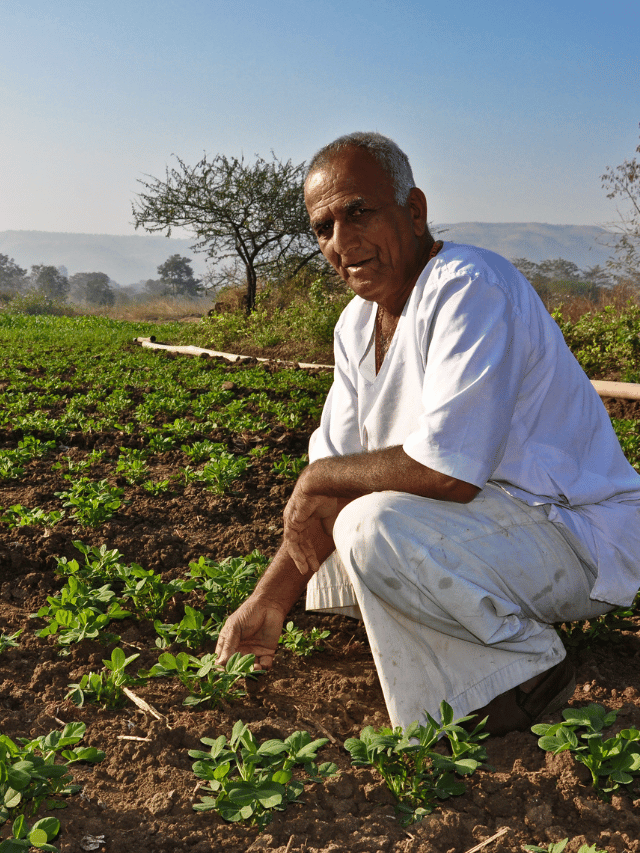 Top 7 Leading Agriculture States in India